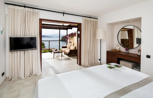 Superior Double Room with private terrace